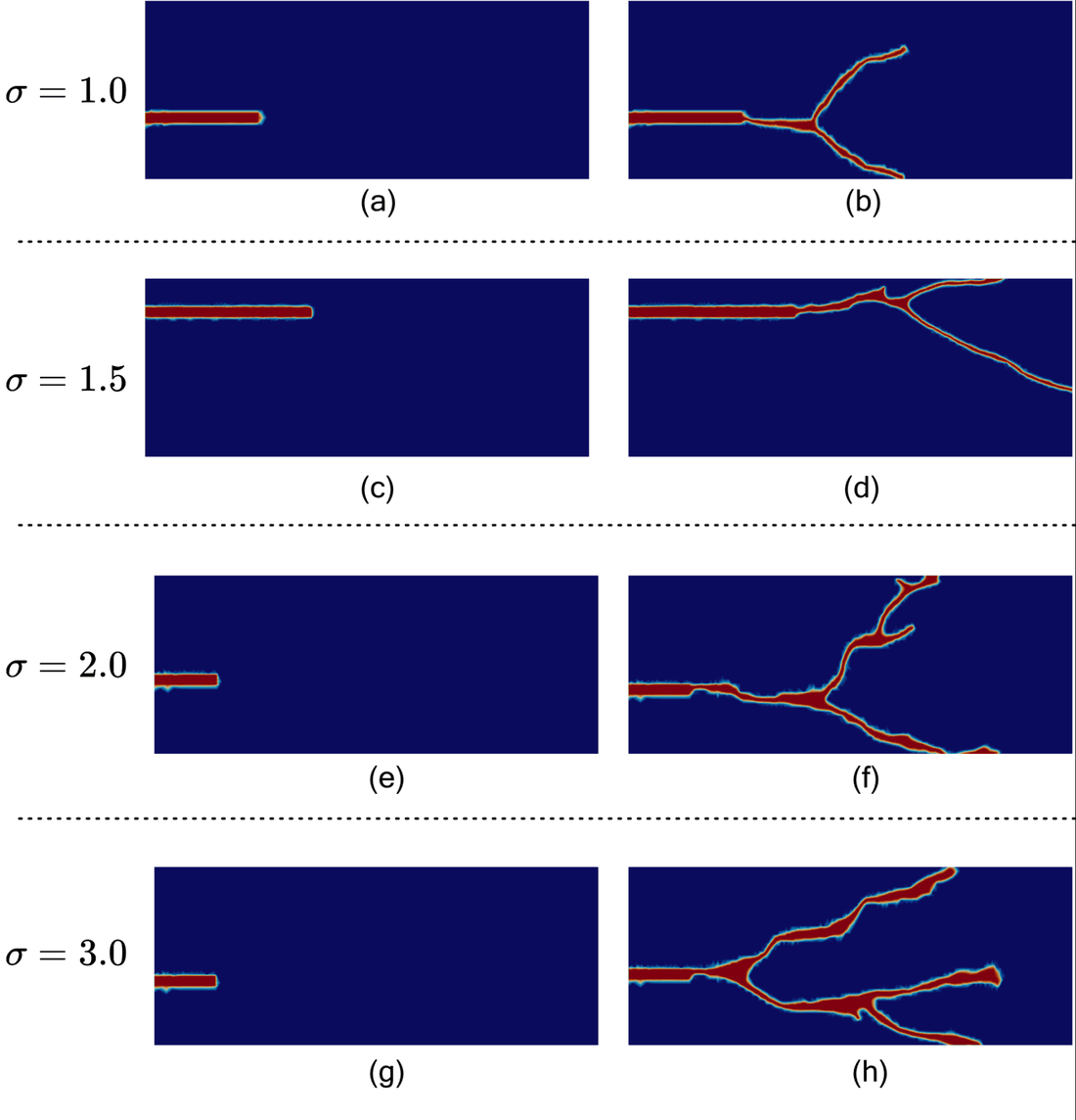 Crack paths at four traction magnitudes, from a single straight crack to repeated branching