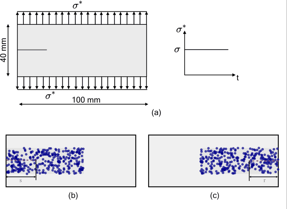 Problem setup: 100 by 40 mm plate under step tensile traction, with sampled crack-tip positions